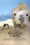 The Story of the Weeping Camel preview